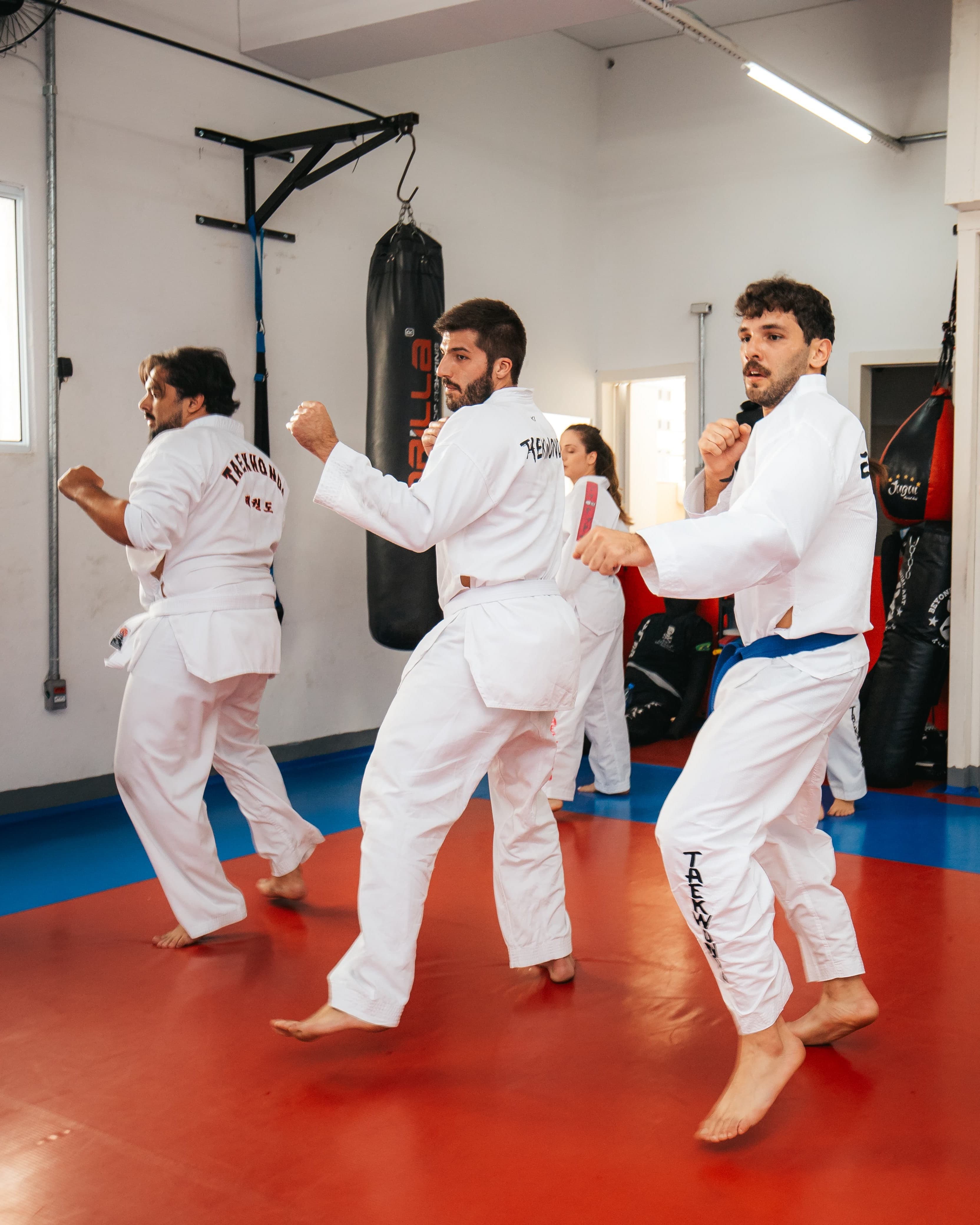 Técnicas de Taekwondo